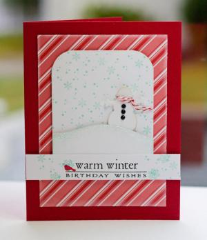 Warm Winter Bday detail