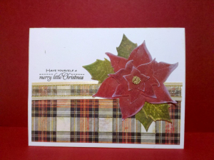 Poinsettia 'n Plaid