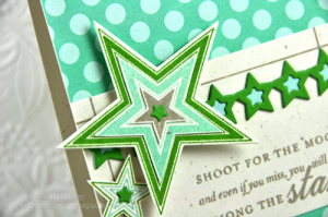 Shoot For the Moon detail