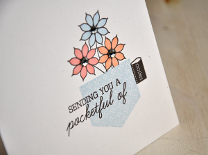 Pocket Full of Posies Detail