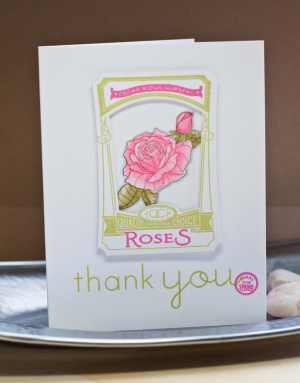 Lisa Johnson - Garden Variety II