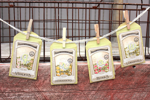 Grow Seed Packet Garland