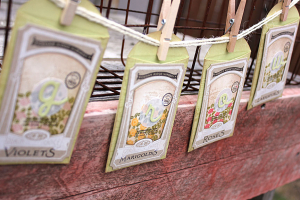 Grow Seed Packet Garland - detail