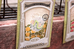 Grow Seed Packet Garland - detail