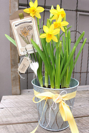 Seed Packet Plant Marker