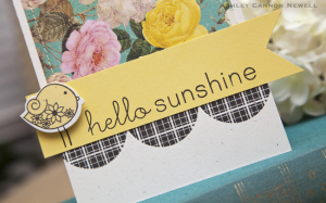 Hello Sunshine Birdie detail