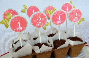 Seedling Pot Flowers