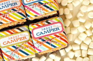 Happy Camper S'more