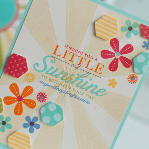 Little-Bit-of-Sunshine-dtl