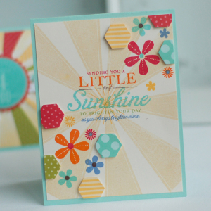 Little-Bit-of-Sunshine