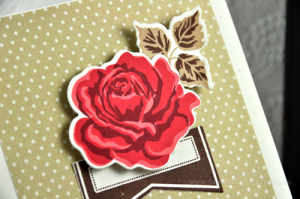 Dawn McVey - Fabulous Frames