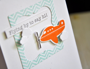 Flying By To Say Hi! Card Detail
