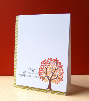 acorns angle2
