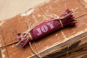 Holiday Paper Crackers