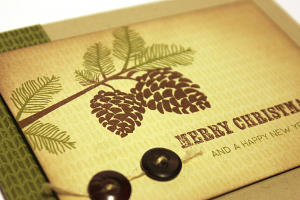 Pinecones for Christmas Card - detail