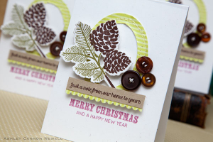 Merry Christmas Pinecones