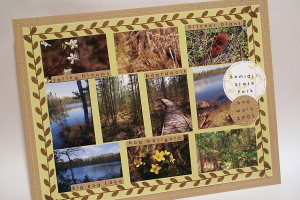 Bemidji Bog Walk Scrapbook Page