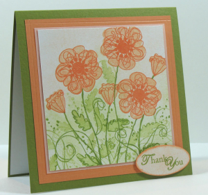California-Poppies