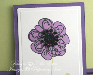close up of Poppy
