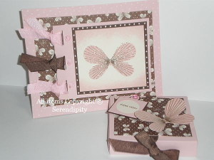 Pink and Brown Butterfly Card and Treat Box