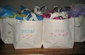 bag2