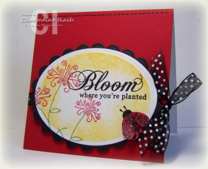 Ladybug Bloom