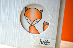 Hello, Foxy close