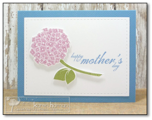 Mother's Day Hydrangea