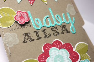Welcome Baby Ailsa Mini Book - cover detail
