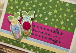 Welcome to the World