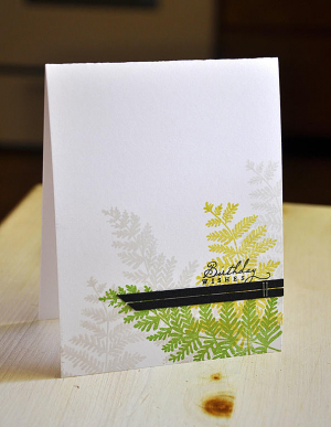 Birthday Wishes Card