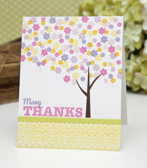 Many Thanks