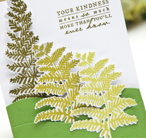 Your Kindness