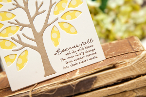 Leaves Fall