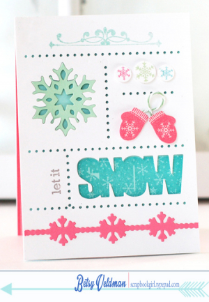 Snow-Sampler