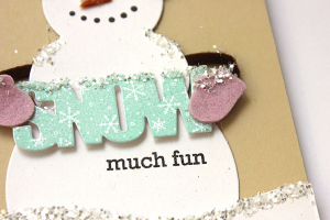 Snow Much Fun Card - detail
