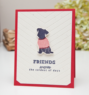 Friends Warm the Coldest of Days