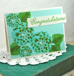 Dahlia Congratulations