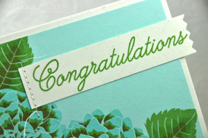 Dahlia Congratulations detail