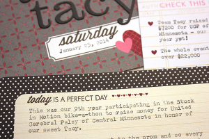 Team Tacy 2014 Pages - detail