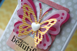 layered butterflies close up