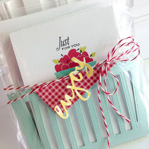 Berry Basket Pocket and Card Set