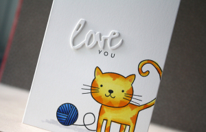 kitty love you close up