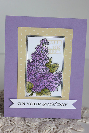On Your Special Day Card
