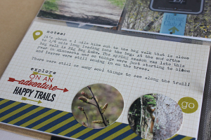 Bog Walk Layout - left side detail