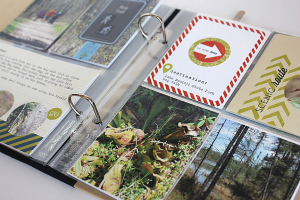 Bog Walk Layout - detail