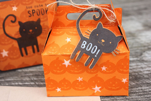 Halloween Treat Box