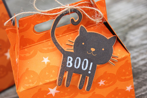 Halloween Treat Box - detail