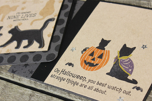 Superstition and Everyday Cat Sentiments Cards