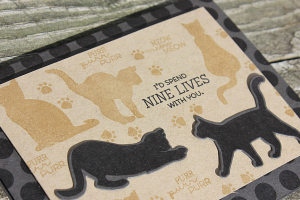 Nine Lives Card - detail
